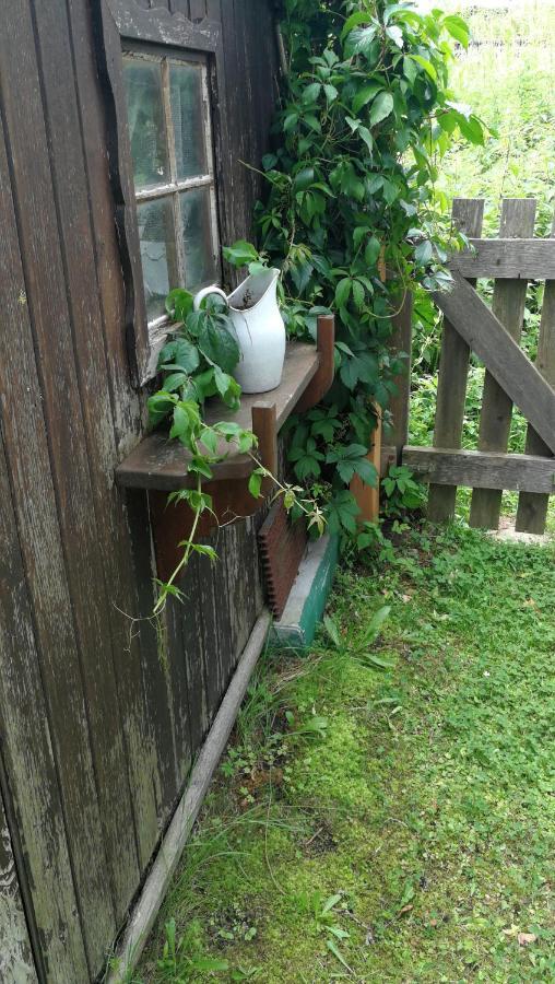 Ferienhaus Rosis *