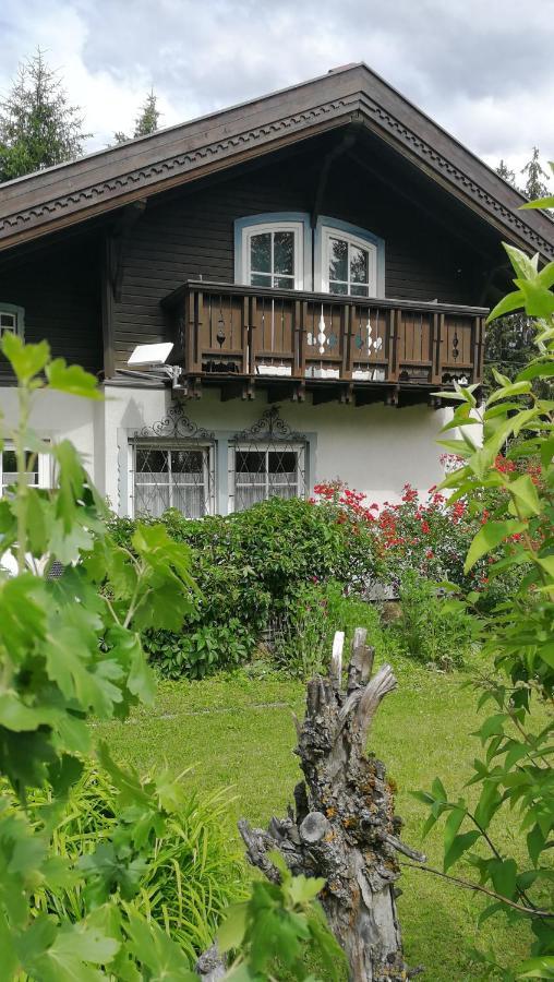 Rosis Lienz